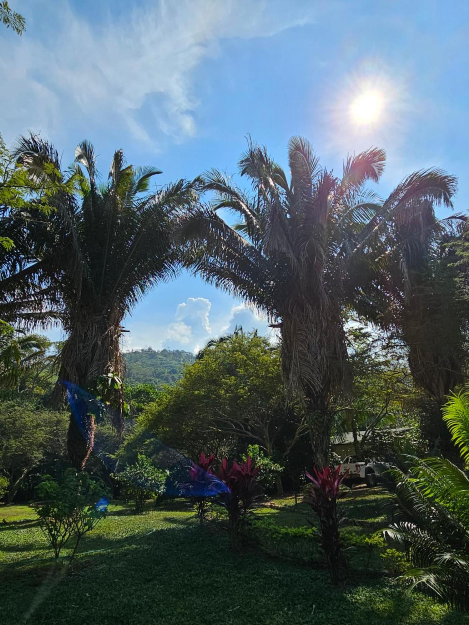 Lagoon Village B&B Y Spa Tarapoto Dış mekan fotoğraf
